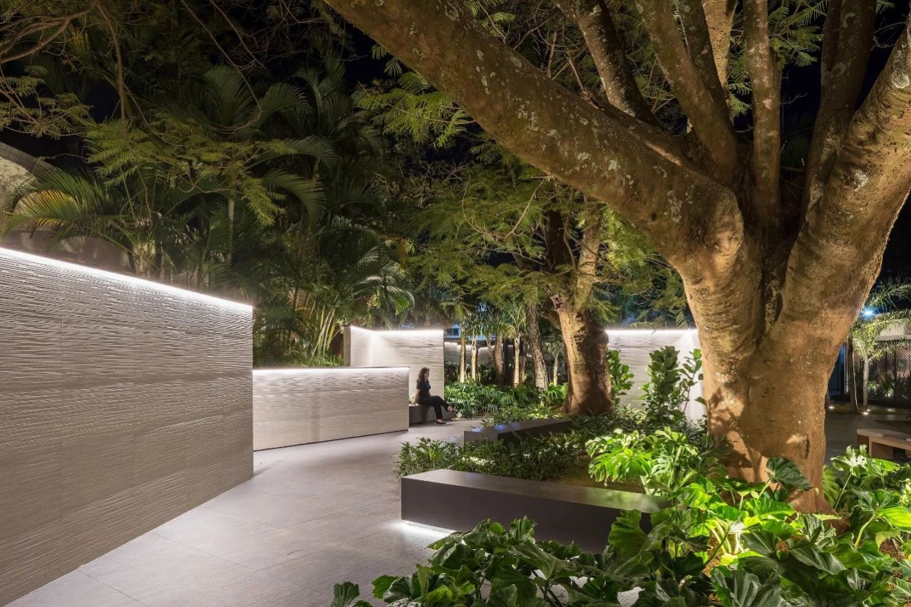 1692691310987754.jpg 1692691310987754.jpg