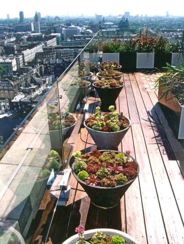 1704335242101364.jpg 1704335242101364.jpg